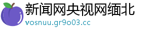 新闻网央视网缅北